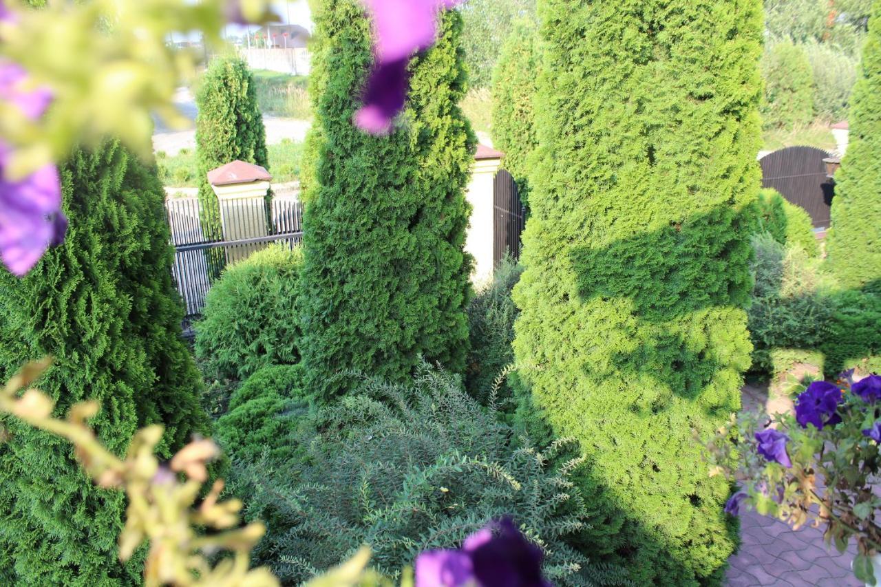Zolota Pidkova Bed & Breakfast Kovelʼ Екстериор снимка